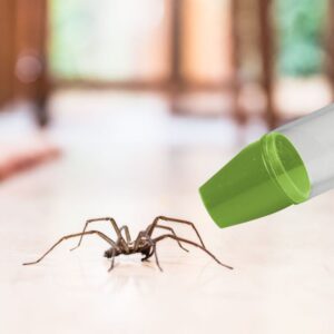 Beper Εντομοπαγίδα – Σκουπάκι αναρρόφησης εντόμων P201UTP001 - Image 4